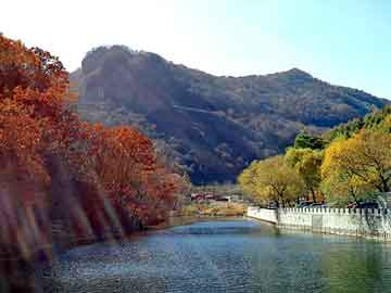 澳门今晚一肖必中特，都市神尊